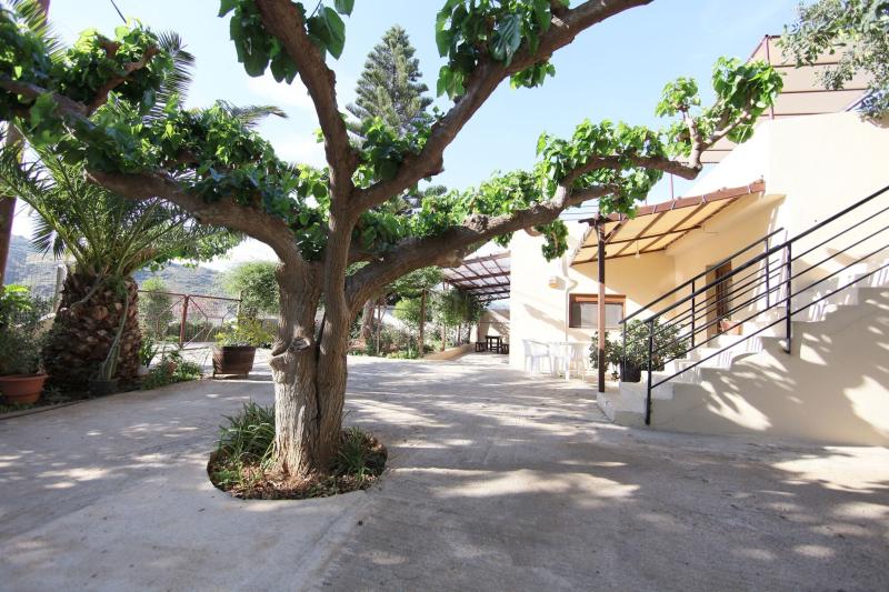 Innenhof des Mitsis Bali Paradise Hotels mit schattenspendenden Bäumen, Terrasse und mediterranem Flair auf Kreta