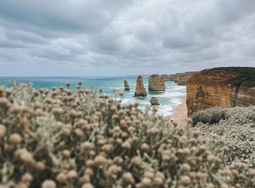 Steilküste mit Blumen
