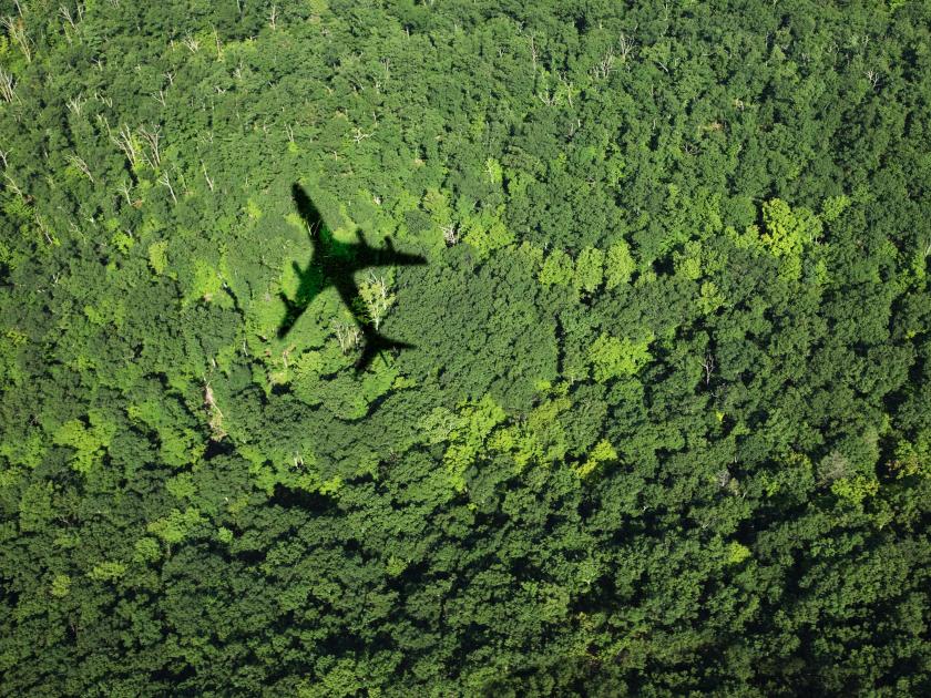 Flugzeug über Wald