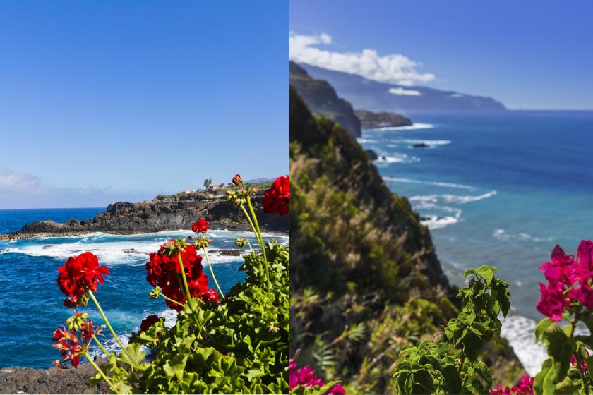 Vergleich La Palma-Madeira