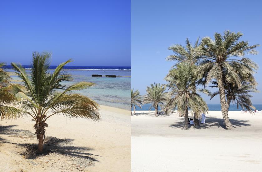 Vergleich Ägypten-Dubai