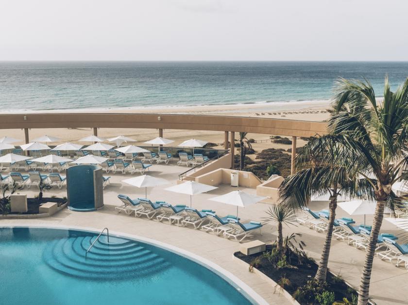 Poolbereich mit Palmen und Liegen