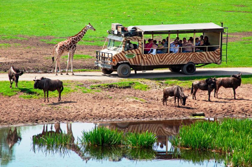 Freizeitpark: Serengeti Park
