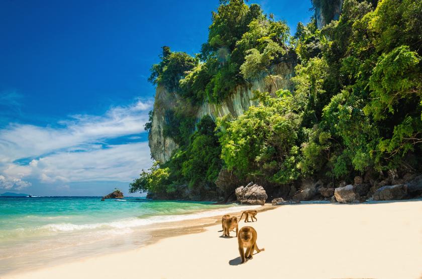 Monkey Beach Insel Koh Pee Pee (Phi Phi)