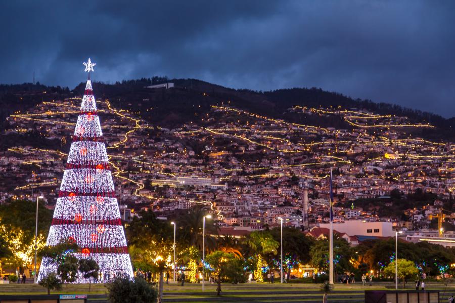 Weihnachtsbaum, Stadt Funchal