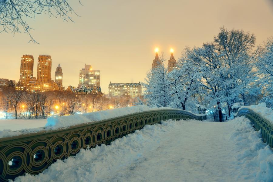 USA: New York - Winter