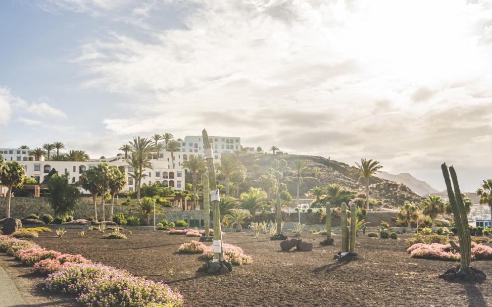 Bild Playitas Resort