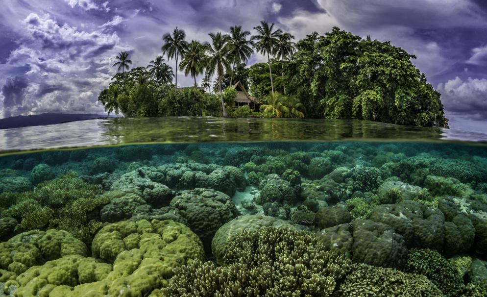Insel, Meer Salomoninseln