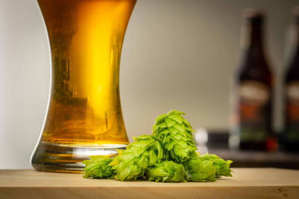 Bier, Hopfen, Brauen
