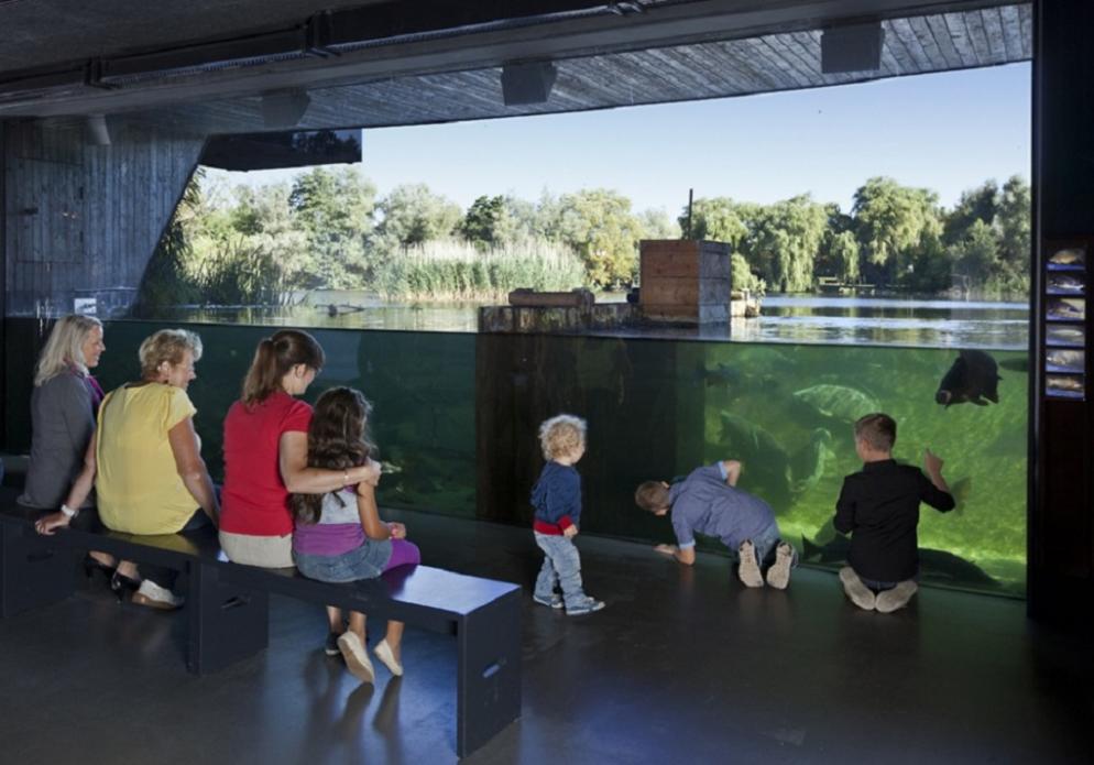 Familie, Wasserbecken, Zoo#Müritzeum/Mirko_Runge