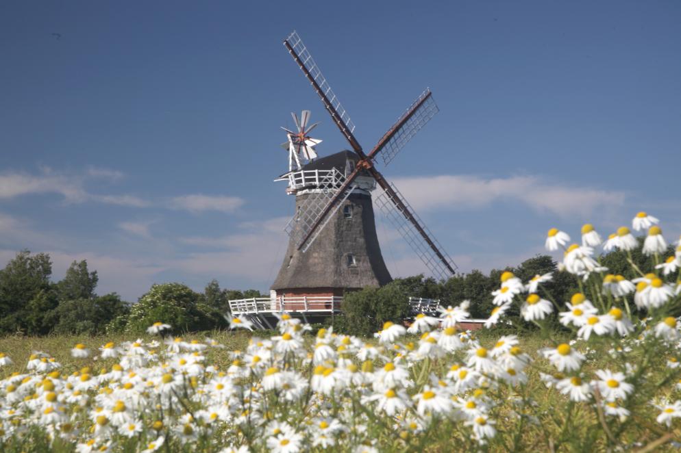 Föhr Windmühle Föhr