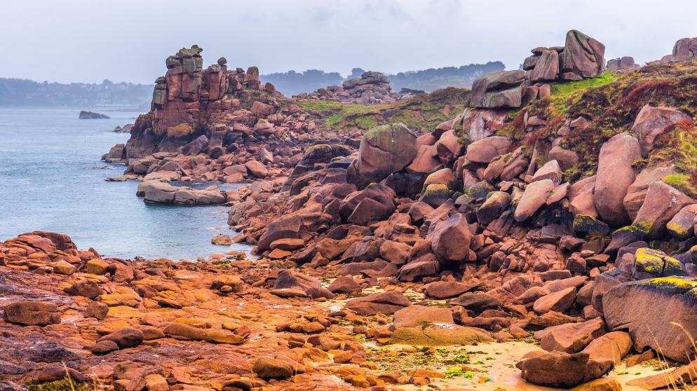 Rosa Granitküste Bretagne