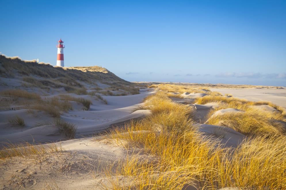 Ansicht vom Lister Ellenbogen auf Sylt mit Leuchtturm und Dünen.