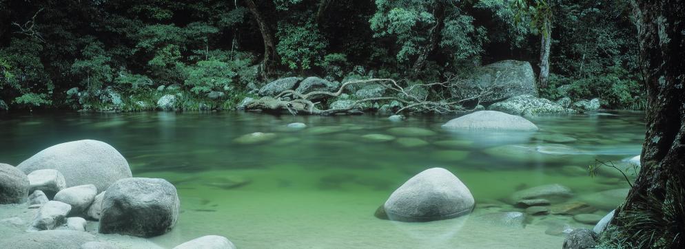 Rundreise Australien: Queensland - Daintree