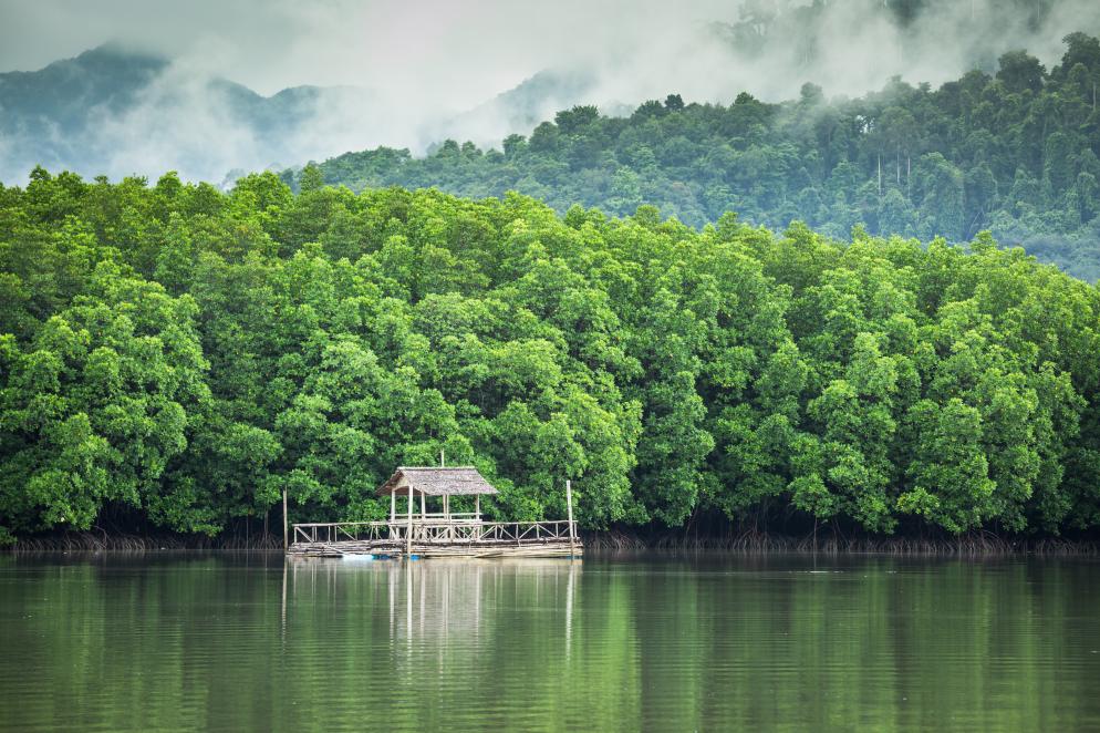 Koh Chang Inseln im Golf von Thailand (Koh Chang, Koh P
