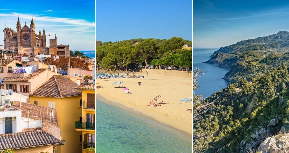 Palma-GI-913260538-825045398-1134463645