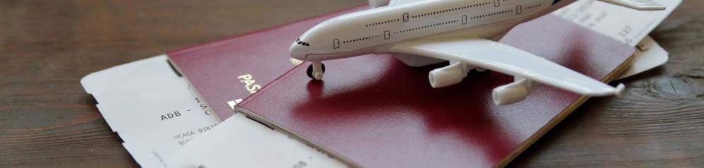 Flugzeug-Reisepass-Emotion