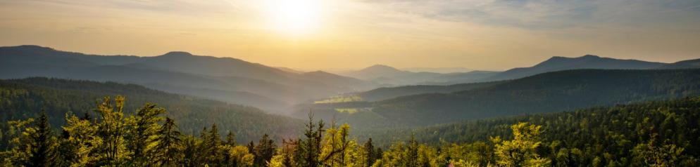 Emotion: Heimaturlaub Bayern Bayerischer Wald