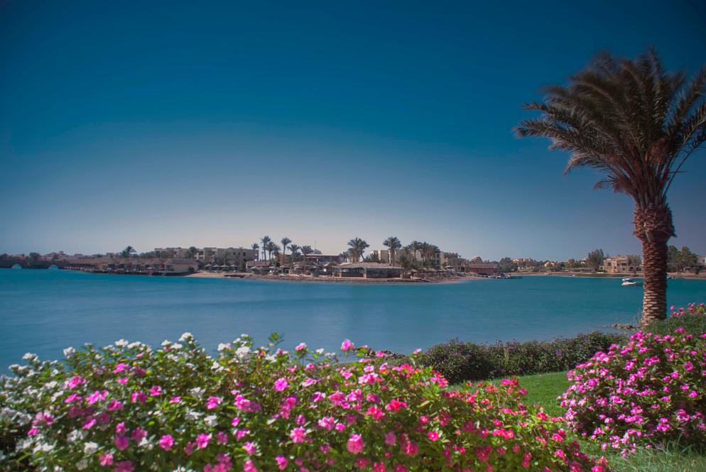 Palmen, Meer, Blumen El Gouna
