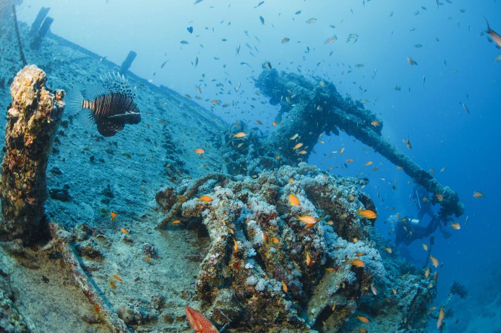 Ras Mohammed Nationalpark Sharm el Sheikh / Nuweiba / Taba
