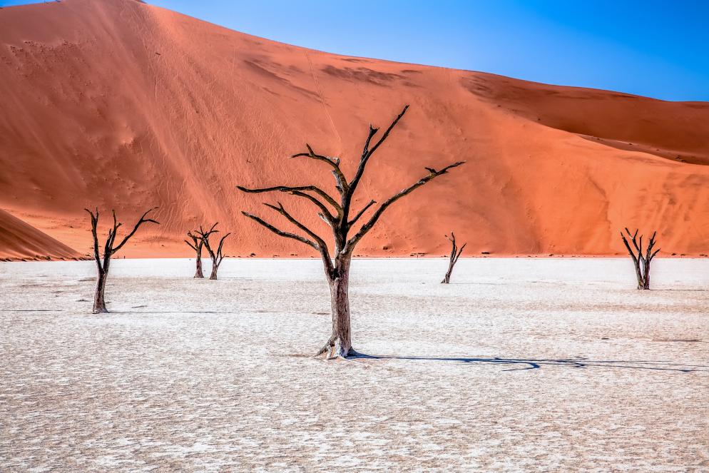 Deadvlei Namibia