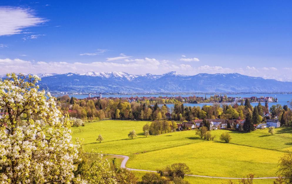 Bodensee, Alpen, Berge, See, Häuser, Wiese, Panorama Bodensee