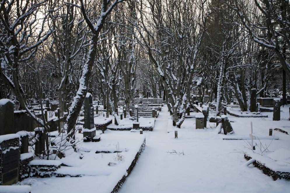 Friedhof Holavallagardur Reykjavik