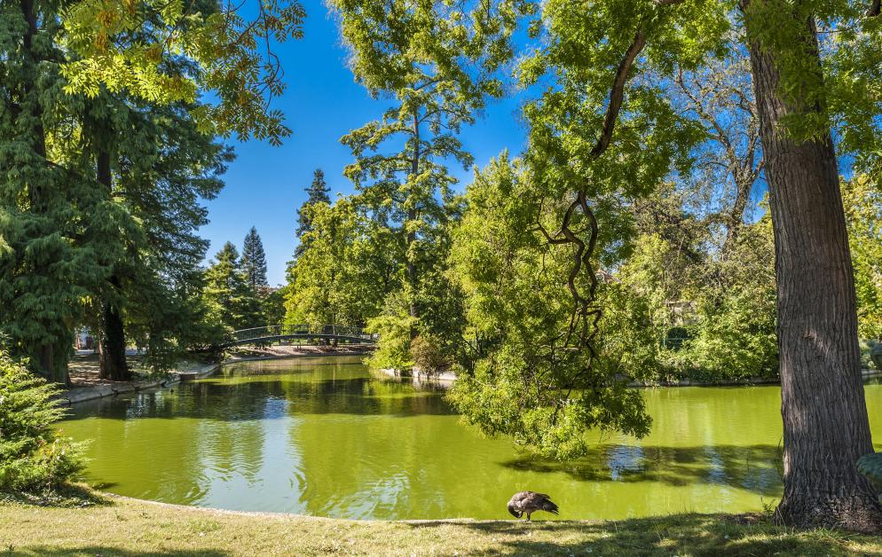 Park, See Bordeaux