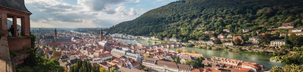 Emotion: Panorama Heidelberg