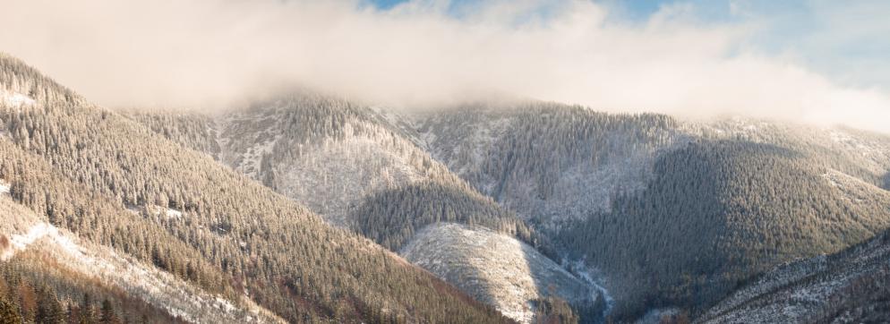 Themenwelt Winterurlaub: Tschechien Spindlermühle Schnee