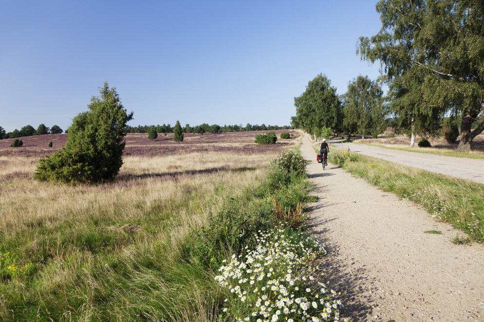 Lüneburger Heide Radweg Lüneburger Heide