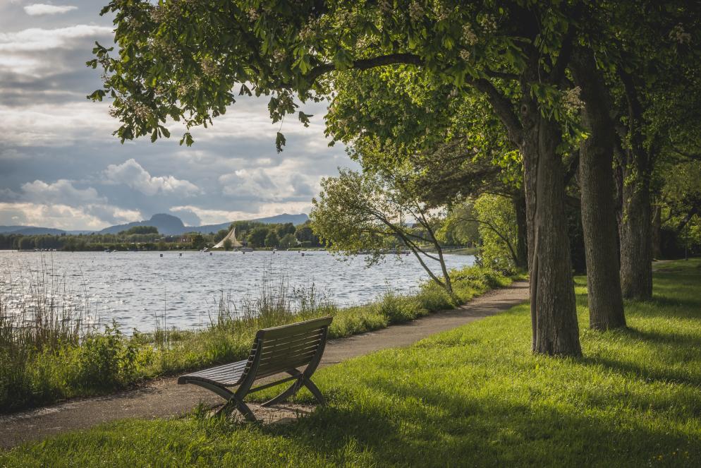 Bank, Park, See Radolfzell Am Bodensee