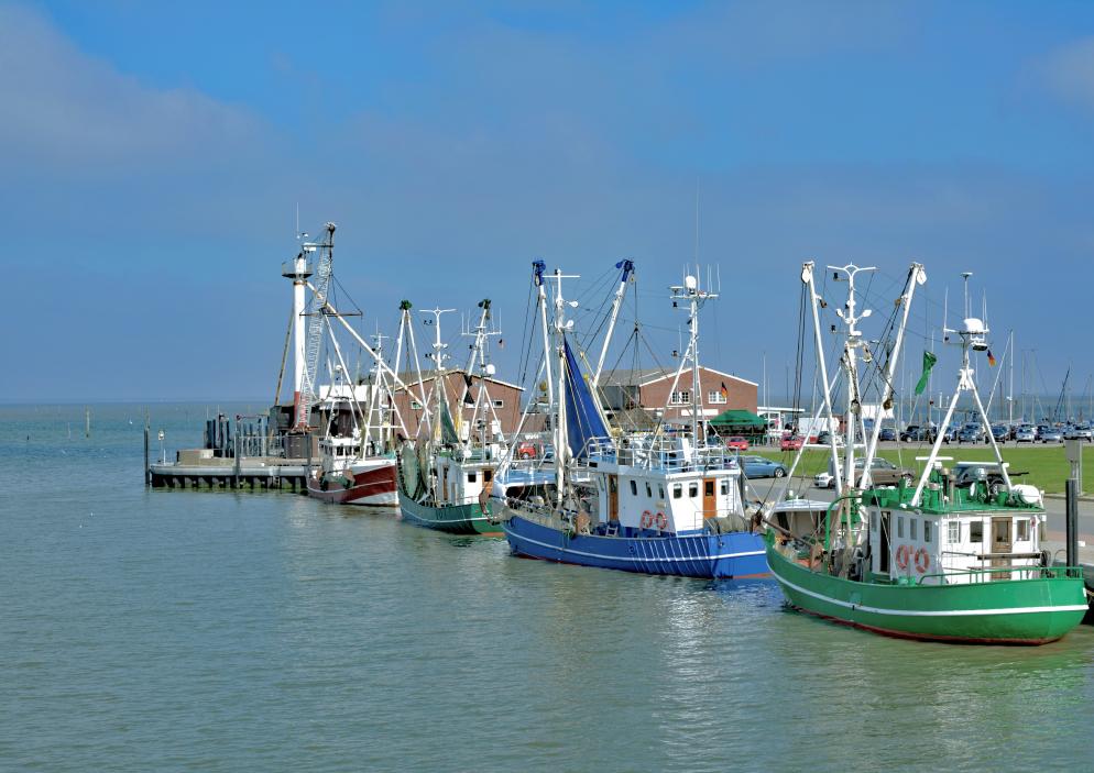 Dornum, Boote, Hafen