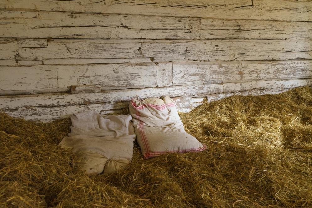 Heuhotel, Stroh, Kissen