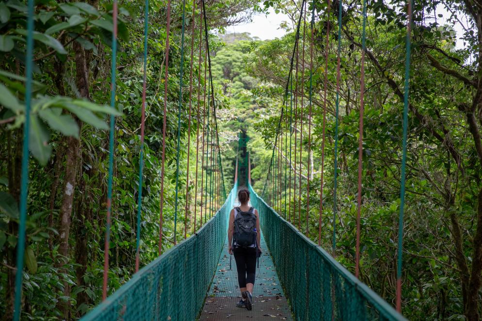 Frau, Brücke, Dschungel Costa Rica