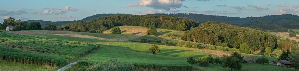 Deutschland-Hessen-Odenwald-Reichelsheim-Emotion