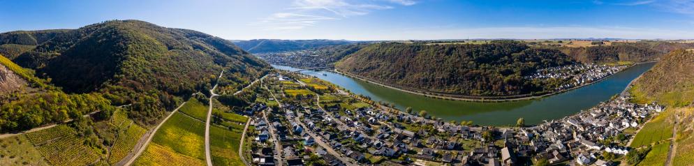 Panorama Fluss Weinberge