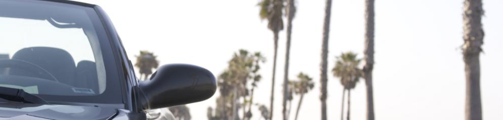 Auto, Rückspiegel, Palmen