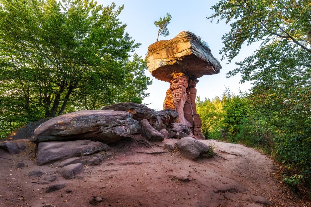 Teufelstisch Pfälzerwald