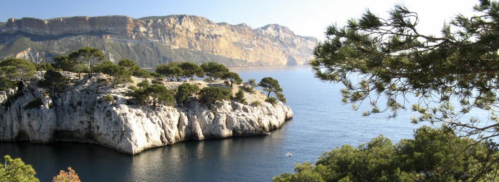 Frankreich Küste, Felsen, Pinien Frankreich