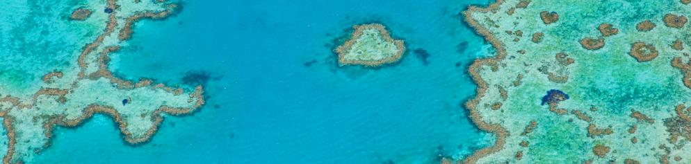 Great Barrier Reef - Australien Great Barrier Reef Australien