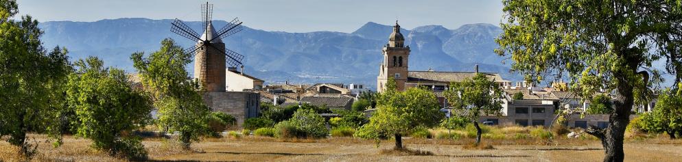 Zitronenbäume mit Dorf im Hintergrund