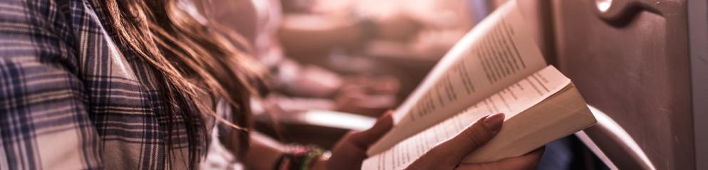 Flugzeug, Frau, Buch