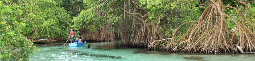 Rio Caño Frío Dominikanische Republik