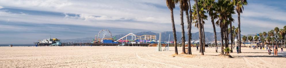 Strand, Palmen, Freizeitpark, Achterbahn, Riesenrad Kalifornien