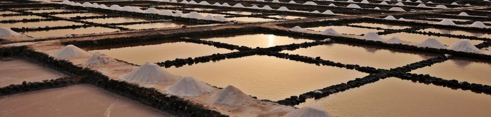 Salinas del Carmen Mallorca