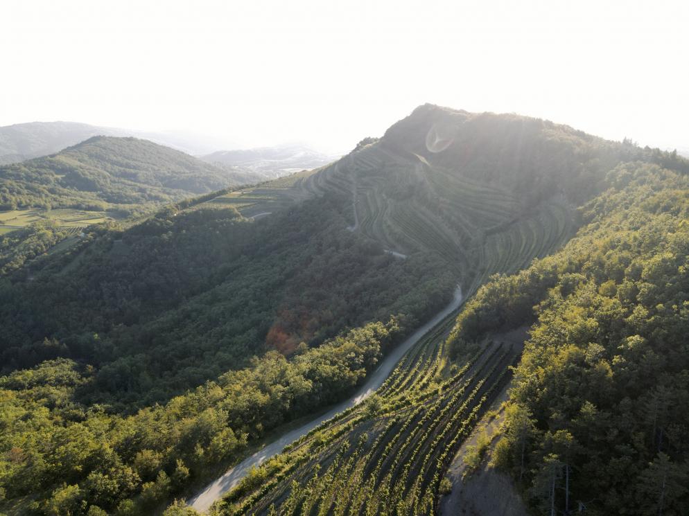 Slowenien-Vipava Valley-LVO