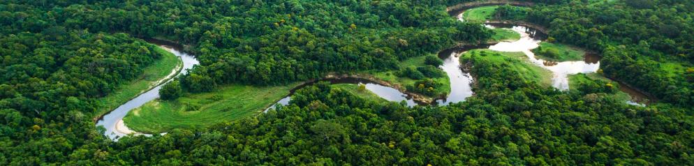 Regenwald, Fluss, Emotion Brasilien