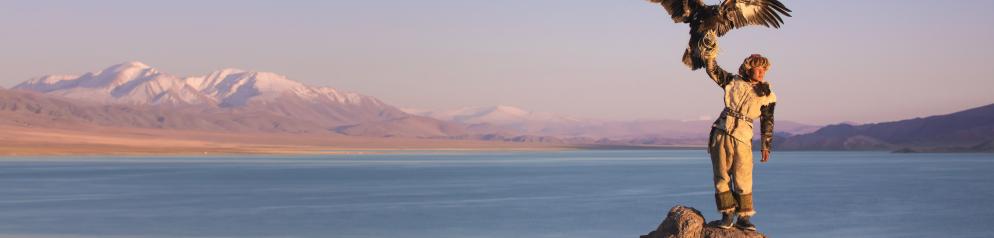 Adler, Falkner, Mann Mongolei