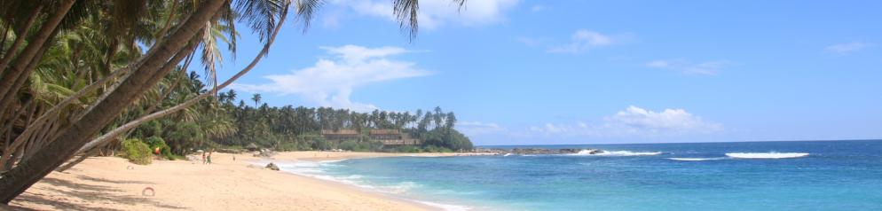 Sri Lanka-Godellawela-Emotion_LVO